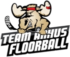 Team Arhus